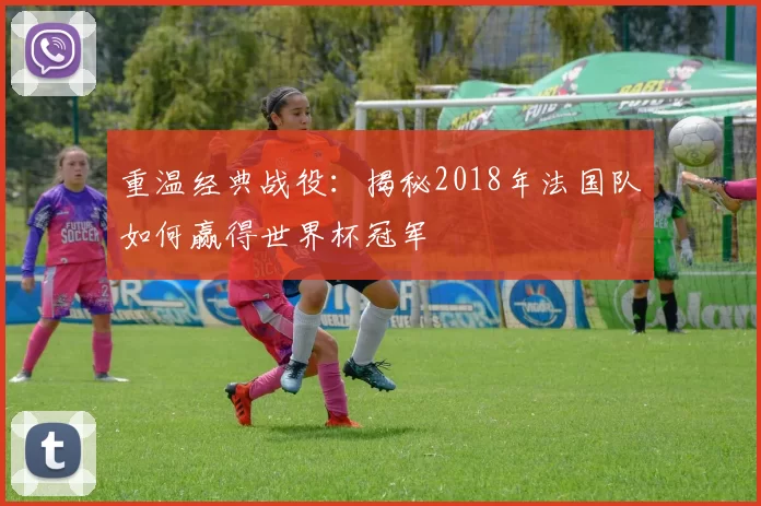 重温经典战役：揭秘2018年法国队如何赢得世界杯冠军