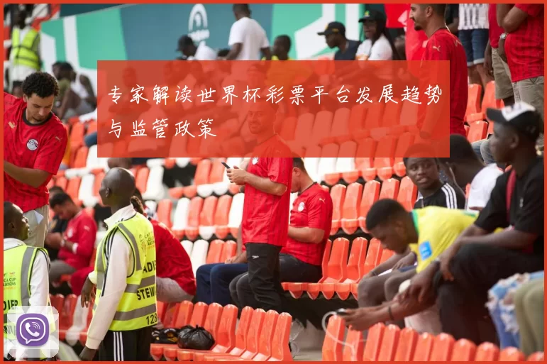 专家解读世界杯彩票平台发展趋势与监管政策