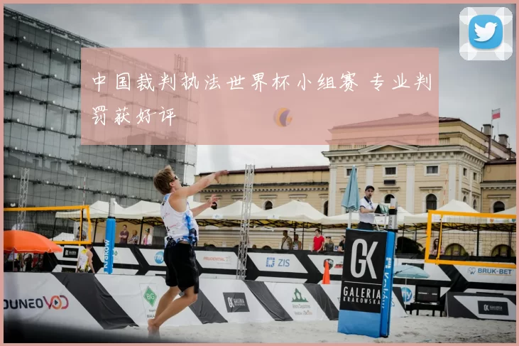 中国裁判执法世界杯小组赛 专业判罚获好评