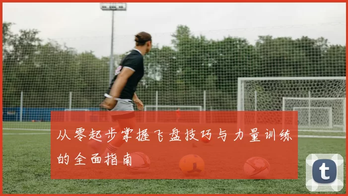从零起步掌握飞盘技巧与力量训练的全面指南