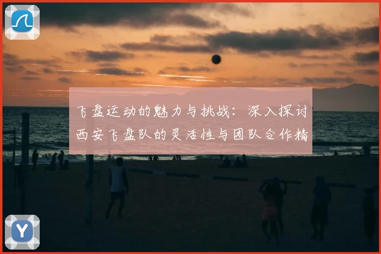 飞盘运动的魅力与挑战：深入探讨西安飞盘队的灵活性与团队合作精神