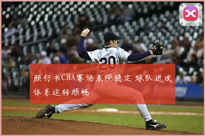 颜行书CBA赛场表现稳定 球队进攻体系运转顺畅