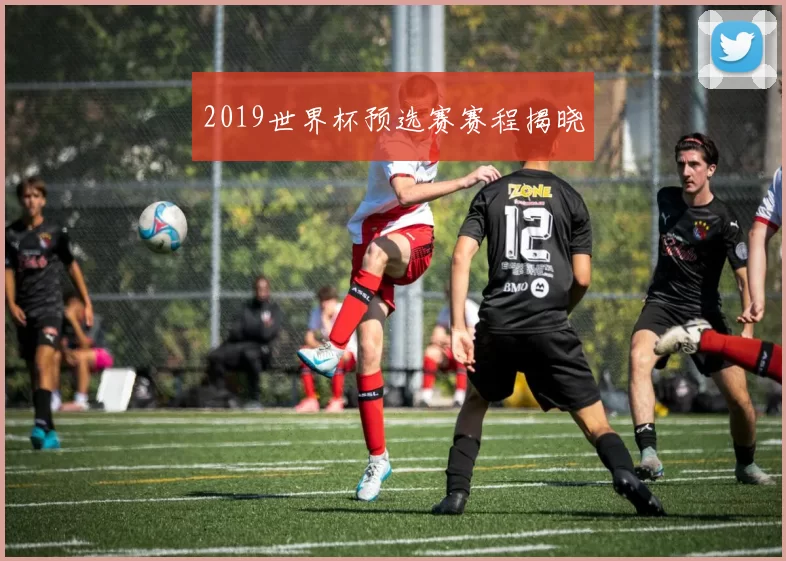 2019世界杯预选赛赛程揭晓