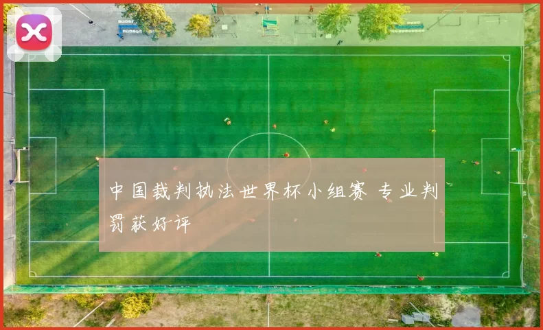中国裁判执法世界杯小组赛 专业判罚获好评