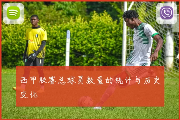 西甲联赛总球员数量的统计与历史变化