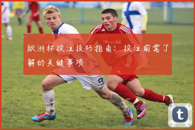 欧洲杯投注技巧指南：投注前需了解的关键事项