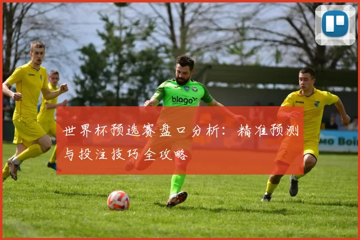 世界杯预选赛盘口分析：精准预测与投注技巧全攻略