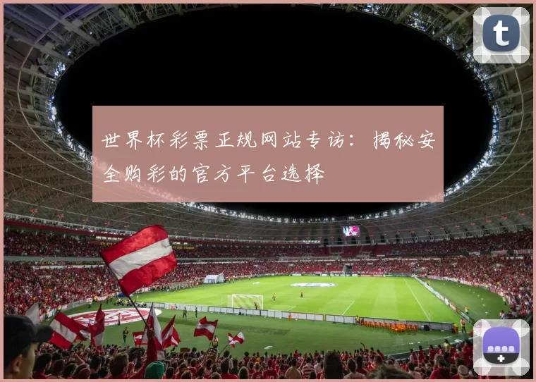 世界杯彩票正规网站专访：揭秘安全购彩的官方平台选择