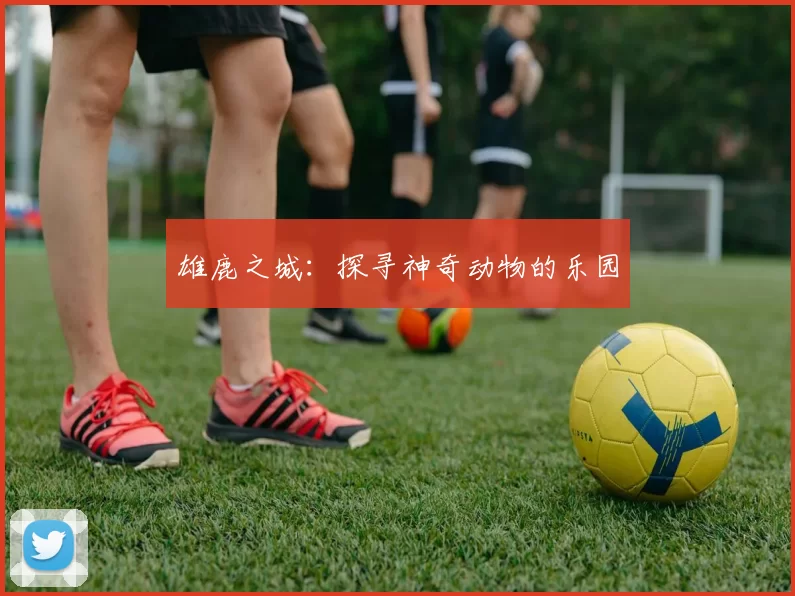雄鹿之城：探寻神奇动物的乐园