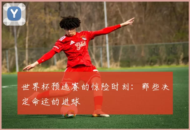 世界杯预选赛的惊险时刻：那些决定命运的进球