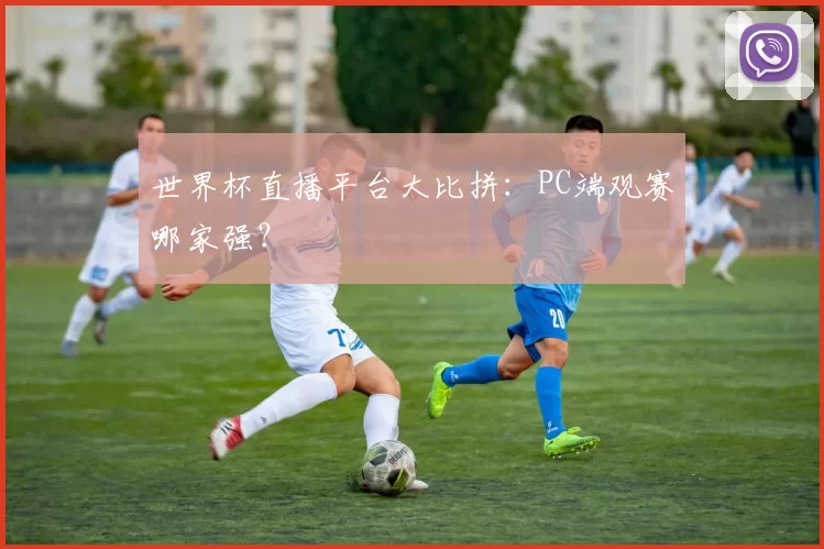 世界杯直播平台大比拼：PC端观赛哪家强？