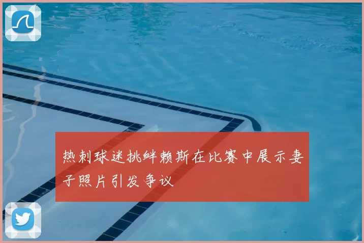 热刺球迷挑衅赖斯在比赛中展示妻子照片引发争议