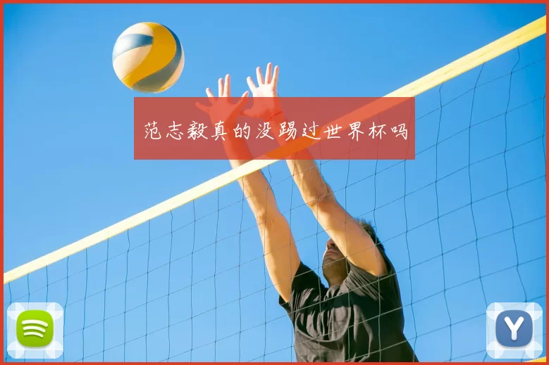 范志毅真的没踢过世界杯吗