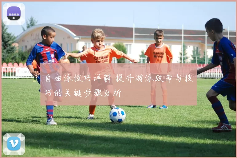 自由泳技巧详解 提升游泳效率与技巧的关键步骤分析