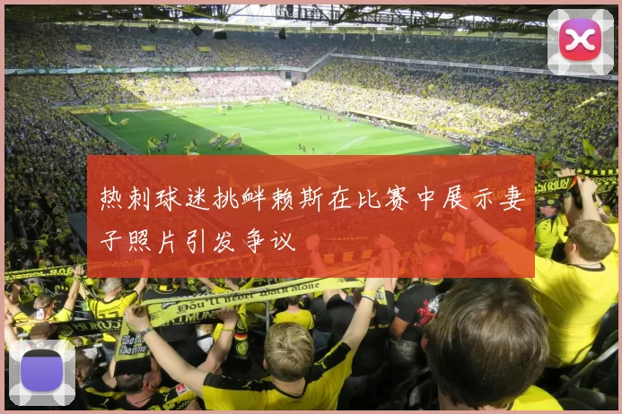 热刺球迷挑衅赖斯在比赛中展示妻子照片引发争议