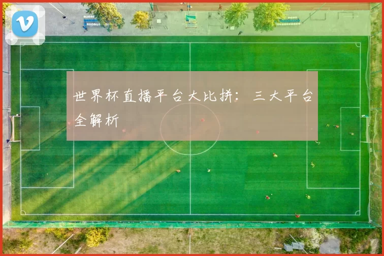 世界杯直播平台大比拼：三大平台全解析