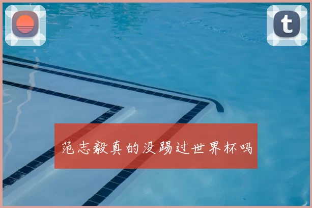 范志毅真的没踢过世界杯吗